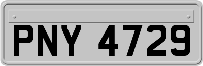 PNY4729