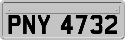 PNY4732