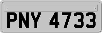 PNY4733