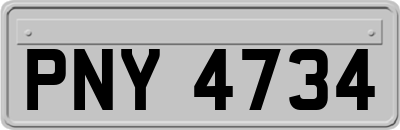 PNY4734