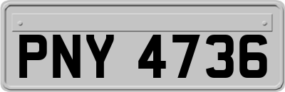 PNY4736