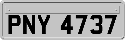 PNY4737
