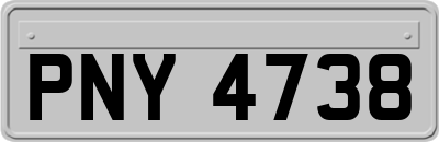 PNY4738