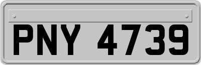 PNY4739