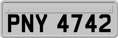 PNY4742