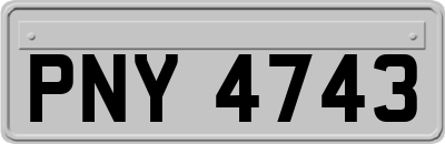 PNY4743