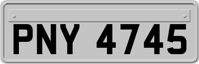 PNY4745