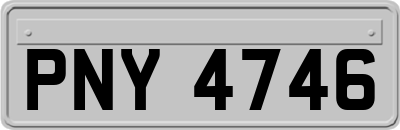 PNY4746