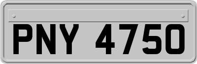 PNY4750