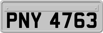 PNY4763