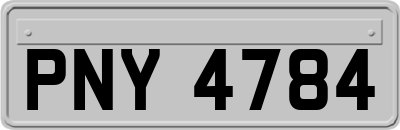PNY4784
