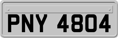 PNY4804