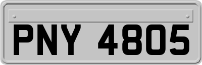 PNY4805