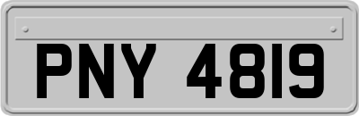 PNY4819