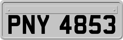 PNY4853