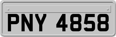 PNY4858