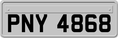 PNY4868