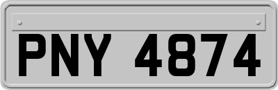 PNY4874
