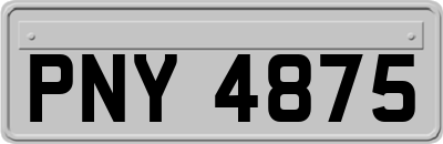 PNY4875