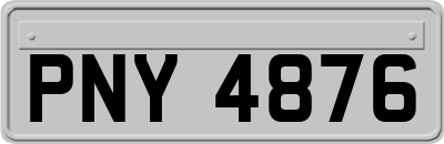 PNY4876