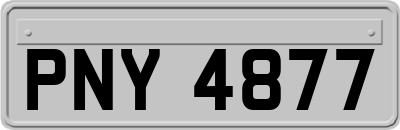 PNY4877