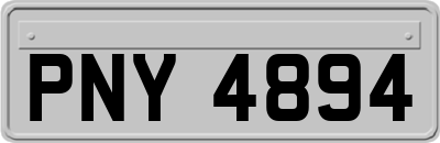 PNY4894