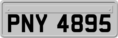 PNY4895