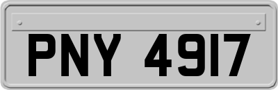 PNY4917