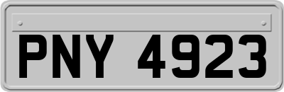 PNY4923