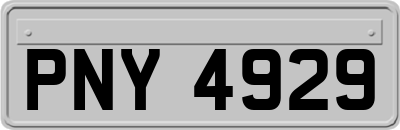 PNY4929