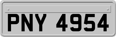PNY4954
