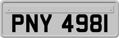 PNY4981