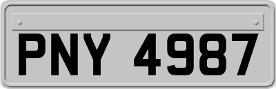 PNY4987