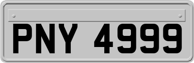 PNY4999