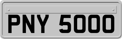PNY5000