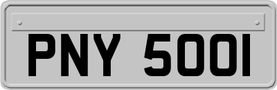 PNY5001