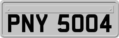 PNY5004