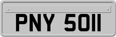 PNY5011