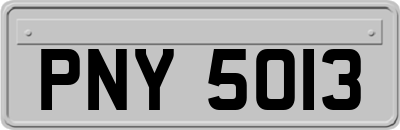 PNY5013