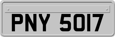 PNY5017