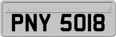 PNY5018