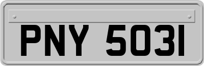 PNY5031