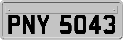 PNY5043
