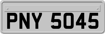PNY5045