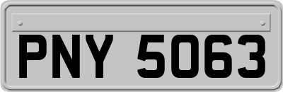 PNY5063