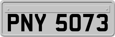 PNY5073
