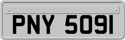 PNY5091