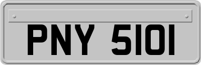 PNY5101
