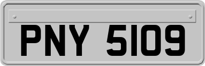 PNY5109