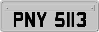 PNY5113